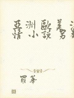 亚洲 欧美 激情 小说 另类