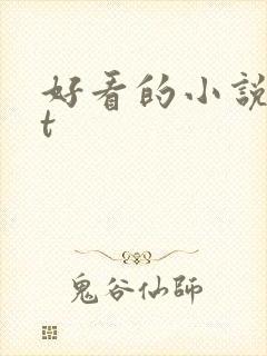 好看的小说txt封面