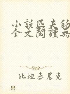 小说匹夫的逆袭全文阅读无弹窗