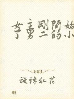 女主刚开始嫁给了男二的小说封面