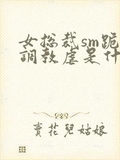 女总裁sm跪爬调教虐是什么