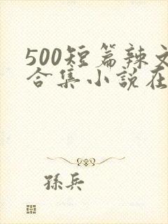 500短篇辣文合集小说在线阅读封面