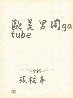欧美男同gaytube