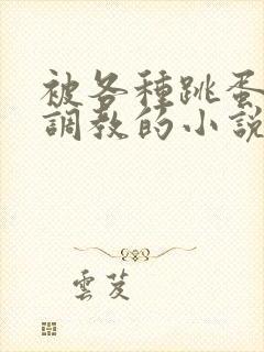 被各种跳蛋露出调教的小说