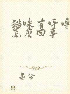 猫咪有呼噜声是怎么回事