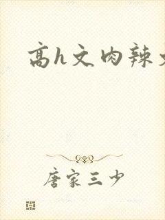 高h文肉辣文封面