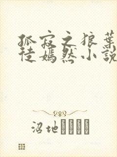 孤寂之狼叶凡司徒嫣然小说