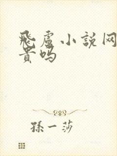 飞卢小说网看书贵吗封面
