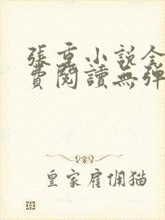 张重小说全文免费阅读无弹窗