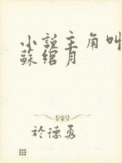 小说主角叫林凡苏绾月