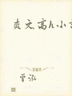 爽文高h小说