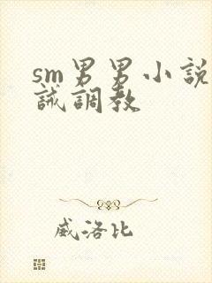 sm男男小说训诫调教