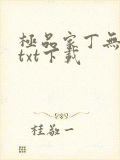 极品家丁无删减txt下载封面