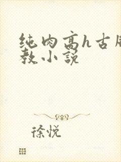纯肉高h古风调教小说封面