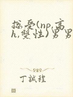 总受(np,高h,双性)男男封面