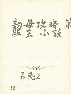 韵母攻略 第一版主 小说