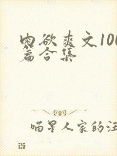肉欲爽文100篇合集封面