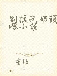 别揉我奶头啊嗯嗯小说封面