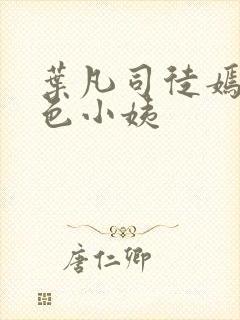 叶凡司徒嫣然绝色小姨