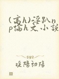(高h)淫趴np伦h文小说