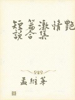 短篇激情艳情小说合集封面