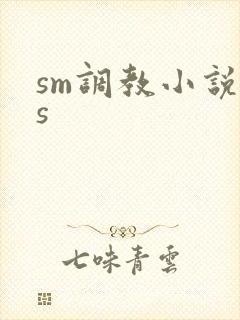 sm调教小说女s