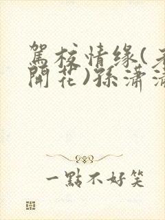 驾校情缘(老树开花)孙潇潇笔趣阁