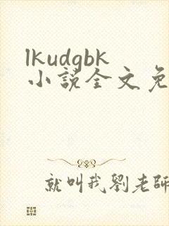 lkudgbk小说全文免费阅读笔趣阁无弹窗