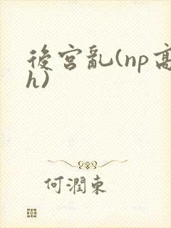 后宫乱(np高h)