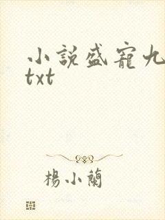 小说盛宠九皇妃txt