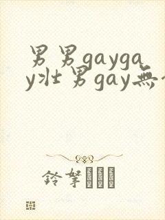 男男gaygay壮男gay无套