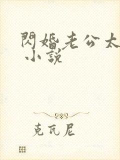 闪婚老公太霸道 小说封面