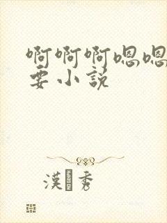 啊啊啊嗯嗯嗯不要小说封面