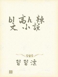 bl 高h 辣文 小说