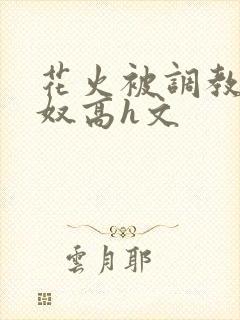 花火被调教成肉奴高h文