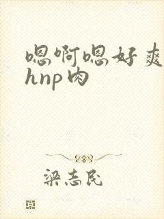 嗯啊嗯好爽啊高hnp肉