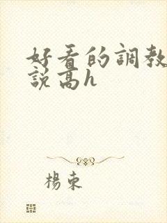 好看的调教文小说高h