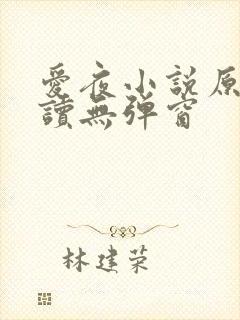 爱夜小说原文阅读无弹窗封面