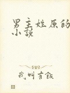 男主姓原的现代小说封面