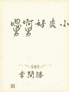 嗯啊好爽小骚货男男封面