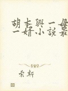 胡本兴一母四女一婿小说最新章节更