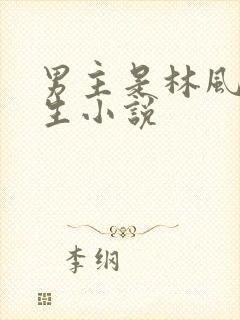 男主是林风的重生小说