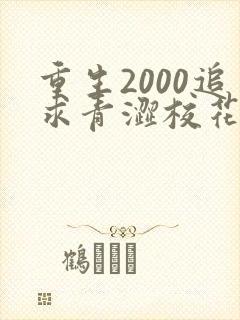 重生2000追求青涩校花同桌开始在线全文阅读