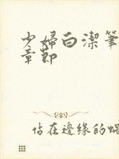 少妇白洁笔趣阁章节