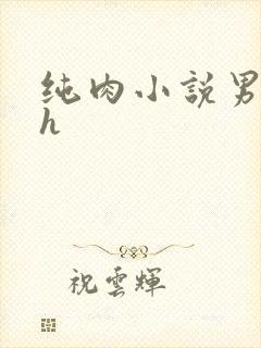 纯肉小说男男高h