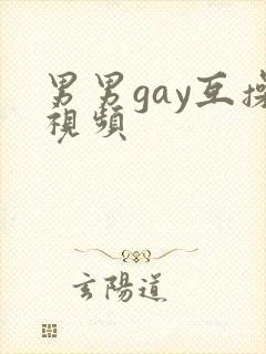 男男gay互操视频