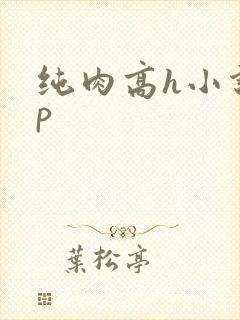 纯肉高h小说np