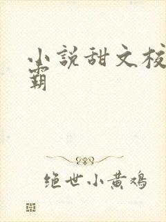 小说甜文校园校霸