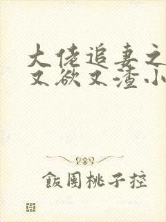 大佬追妻之夫人又欲又渣小说完整版