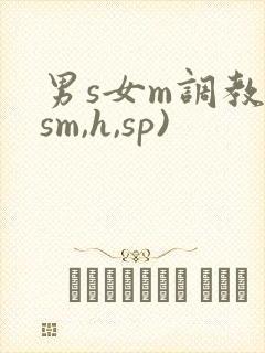 男s女m调教(sm,h,sp)